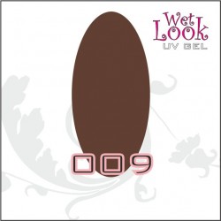 Gel Color Wet Look 5g #009